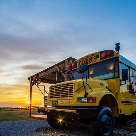 American School Bus - 1 Bedroom - Blossom Farm - Tiers Cross Johnston Esterno foto