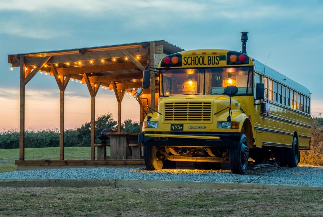 American School Bus - 1 Bedroom - Blossom Farm - Tiers Cross Johnston Esterno foto