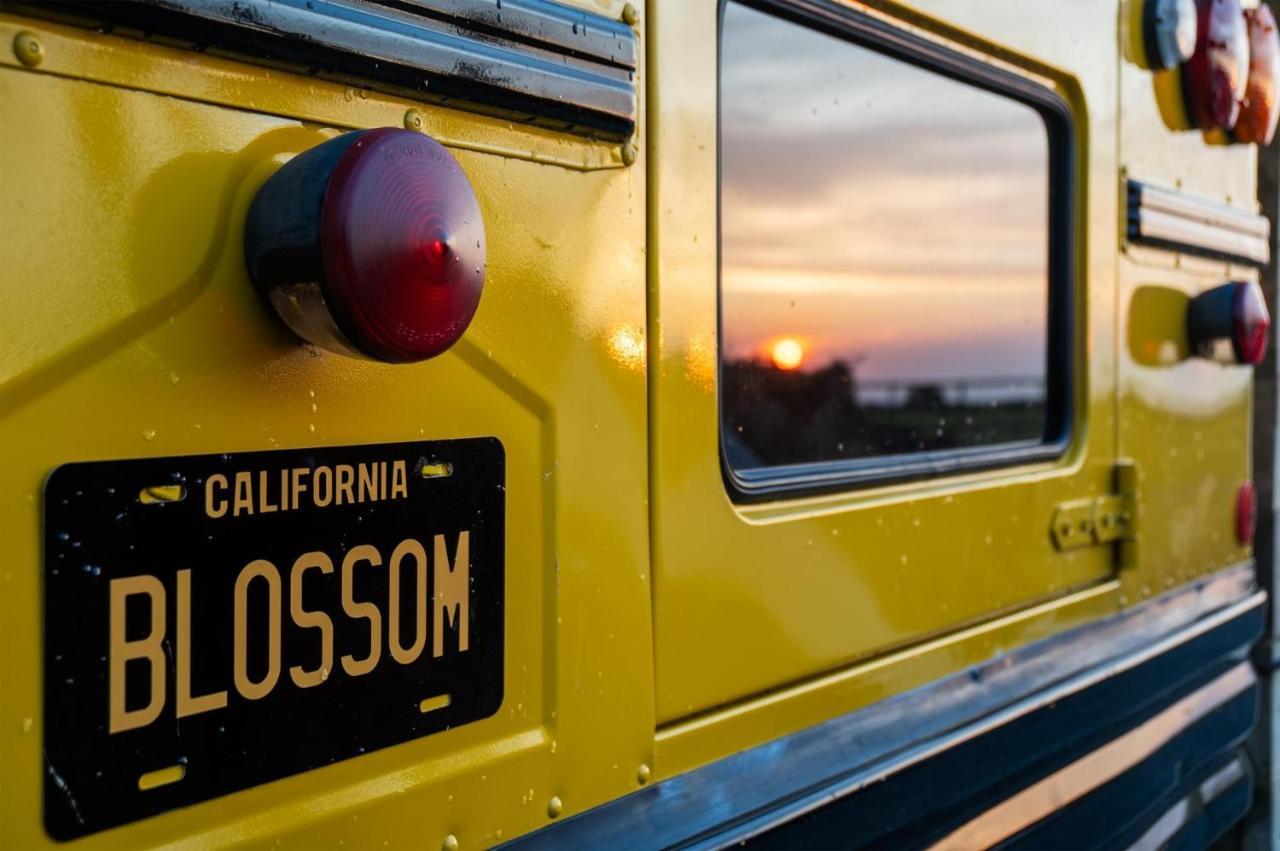 American School Bus - 1 Bedroom - Blossom Farm - Tiers Cross Johnston Esterno foto